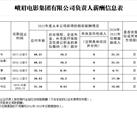 峨眉電影集團有限公司負責人薪酬信息披露